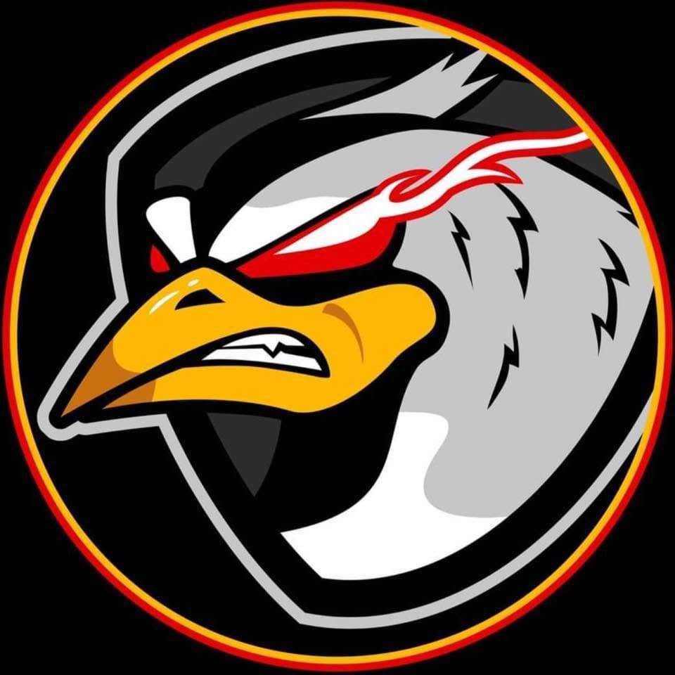 BlackTreiles FA